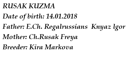 Kuzma